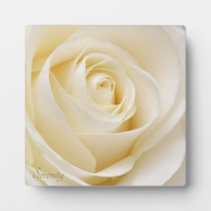 Frieden und Ruhe im Weißen Rosen Fotoplatte