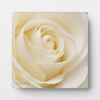 Frieden und Ruhe im Weißen Rosen Fotoplatte