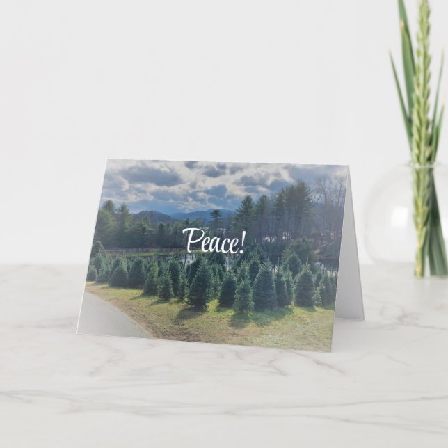 Frieden, Weihnachten geklappte Grußkarte Karte (Vorderseite)