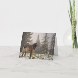 Frieden wünschen dankeskarte