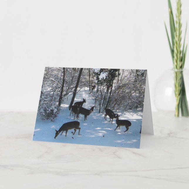 Frieden zu Weihnachten Karte (Vorderseite)