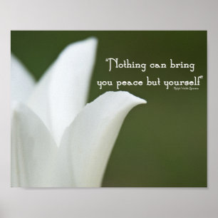 Friedens-Tulpe Poster