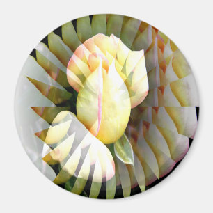 Friedensblätter...... Magnet