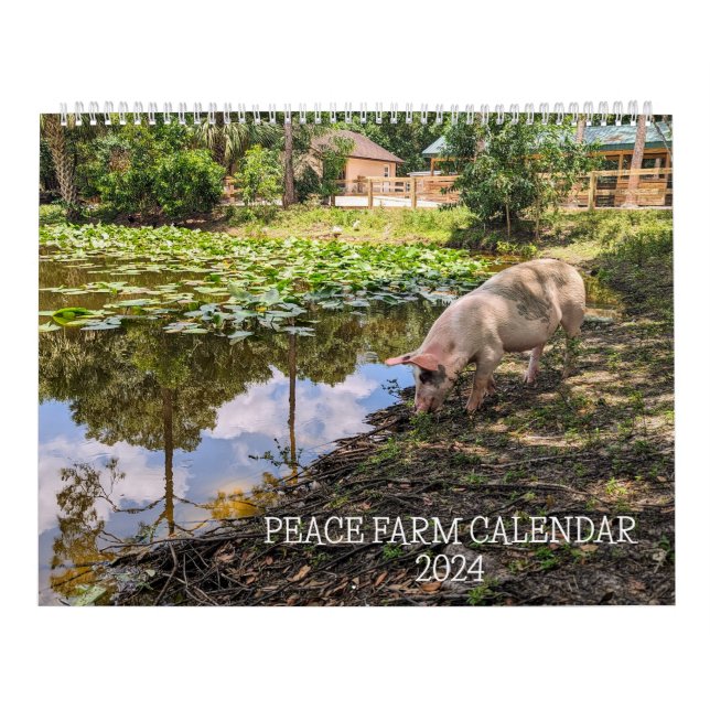 FRIEDENSFARMKALENDER 2024 KALENDER (Titelbild)