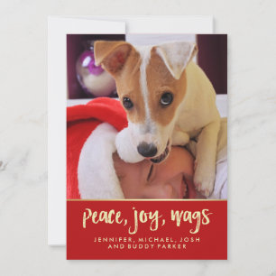 Friedensfreude Wags   Foto Ihr Hundes Weihnachts Feiertagskarte