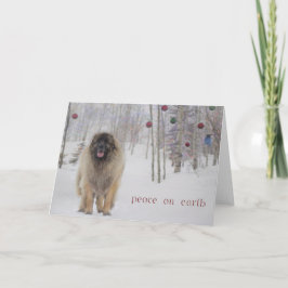 FriedensLeonberger Weihnachtskarte Feiertagskarte