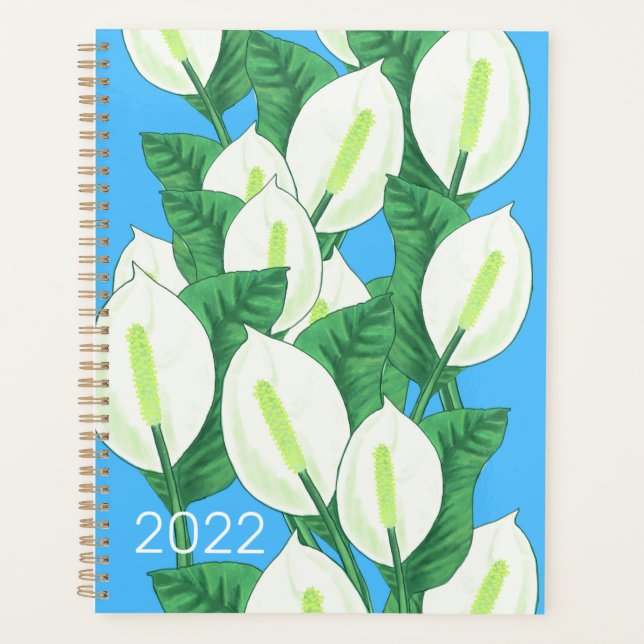 Friedenslilie 2022 planer (Vorderseite)
