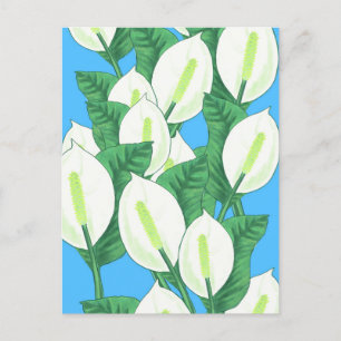 Friedenslily Illustration Postkarte