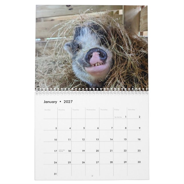 Friedensplan Kalender (Jan 2027)