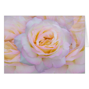 FriedensRose
