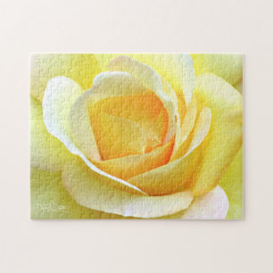 Friedensrose Puzzle