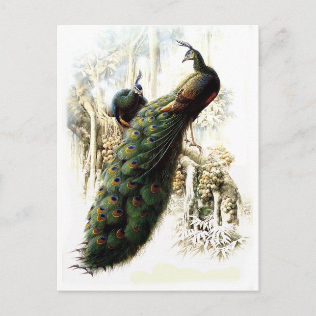 Friedenstruppen Postkarte (Vorderseite)