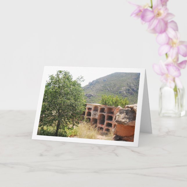 Friedhof des alten Domeño, Domeño Viejo, Valencia Karte (Orchidee)