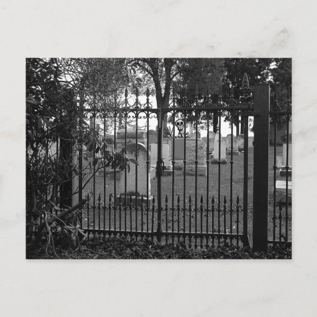Friedhof Grüße! - Postkarte Nr. 1 (Vorderseite)