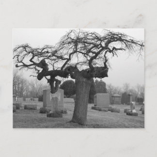 Friedhof Postkarte