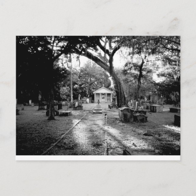 Friedhof Postkarte (Vorderseite)