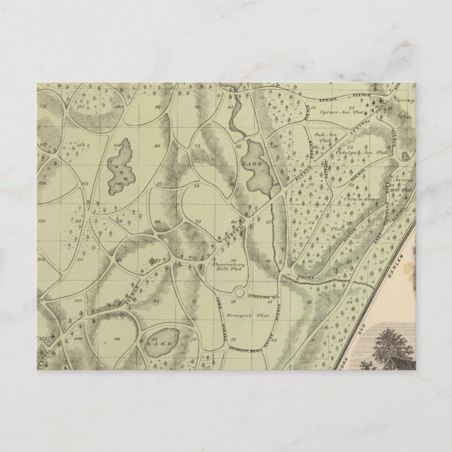 Friedhof Postkarte (Vorderseite)