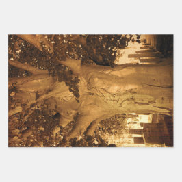 Friedhof Vintage Antique Sepia Tree Sheet Music Geschenkpapier Set
