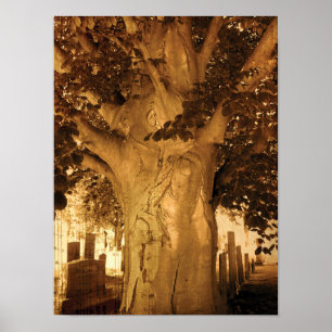 Friedhof Vintage Antique Sepia Tree Sheet Music Poster