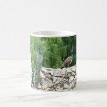 Friedhöfe in der Tasse eines Fotos im Garten