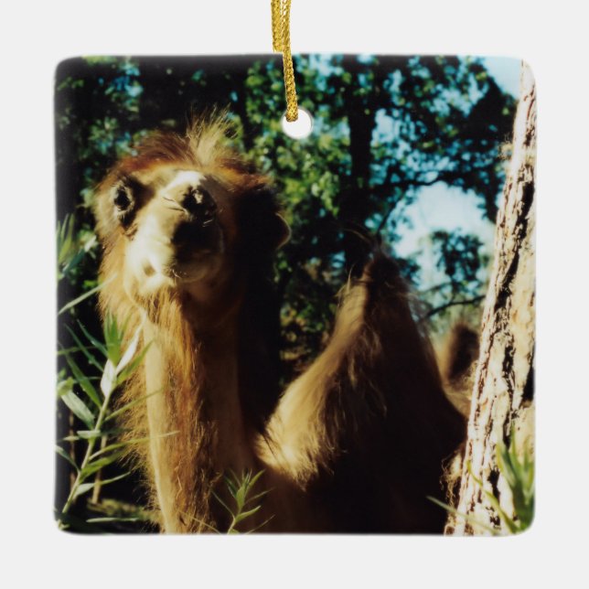 Friedlich Baba Keramikornament (Vorderseite)