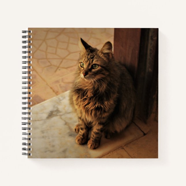 Friedlich Kitty Notizbuch (Vorderseite)