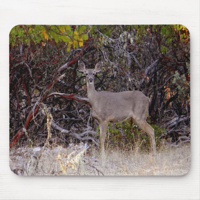 Friedlich.... Mousepad (Vorne)