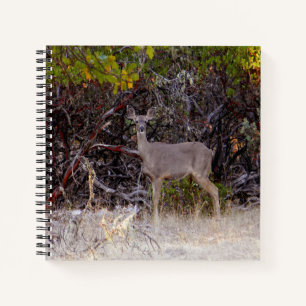 Friedlich... Notizbuch