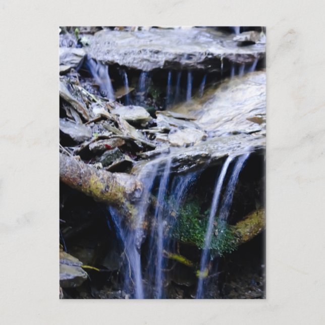 Friedlich Postkarte (Vorderseite)