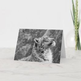 Friedlich Snow Leopard Feiertagskarte