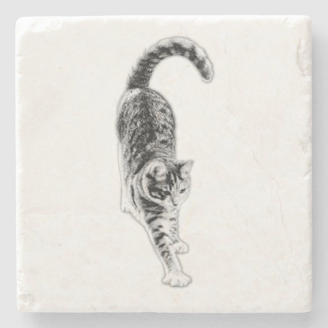 Friedlich Stretch Cat Untersetzer Set (Vorderseite)