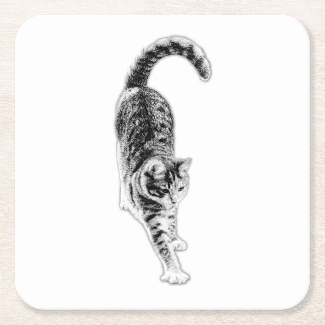 Friedlich Stretch Cat Untersetzer Set (Vorderseite)