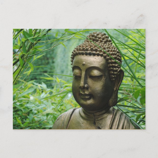 Friedliche Buddha-Statue in einem grünen grünen Wa Postkarte (Vorderseite)