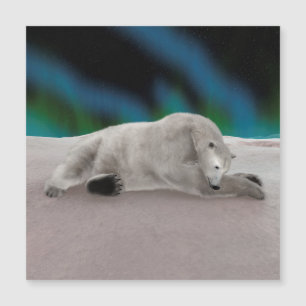 Friedliche Eisbär-Arktis-Natur-Illustration Magnetkarte