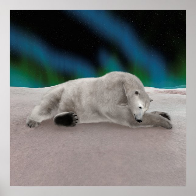 Friedliche Eisbär-Arktis-Natur-Illustration Poster (Vorne)