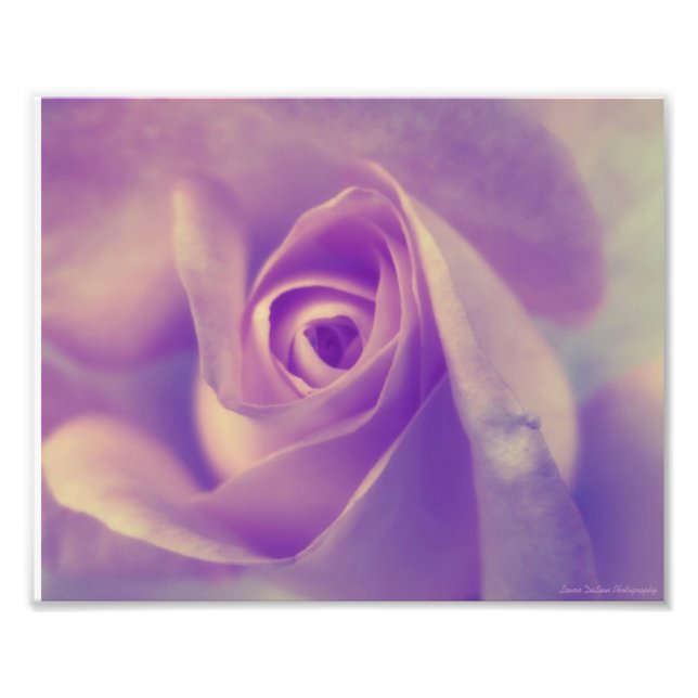 Friedliche Erholung Fotodruck (Vorne)