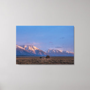 Friedliche Grand Teton offene Prärie Leinwanddruck
