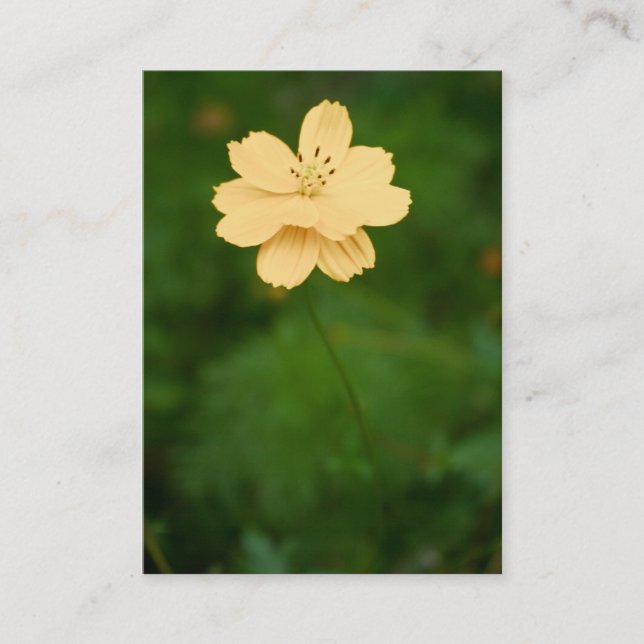 Friedliche Harmonie Mini Print Visitenkarte (Vorderseite)