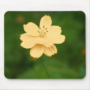 Friedliche Harmonie Mousepad