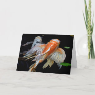 Friedliche Koi   Koi-Fisch-Fotografie Blanko Karte