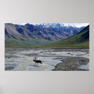 FRIEDLICHE LANDSCHAFT MIT RINDER POSTER
