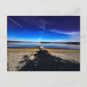 Friedliche Landschaft mit Treibholz Blauer Himmel Postkarte