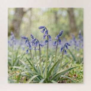 Friedliche lila Blauglockenwaldblüte Puzzle