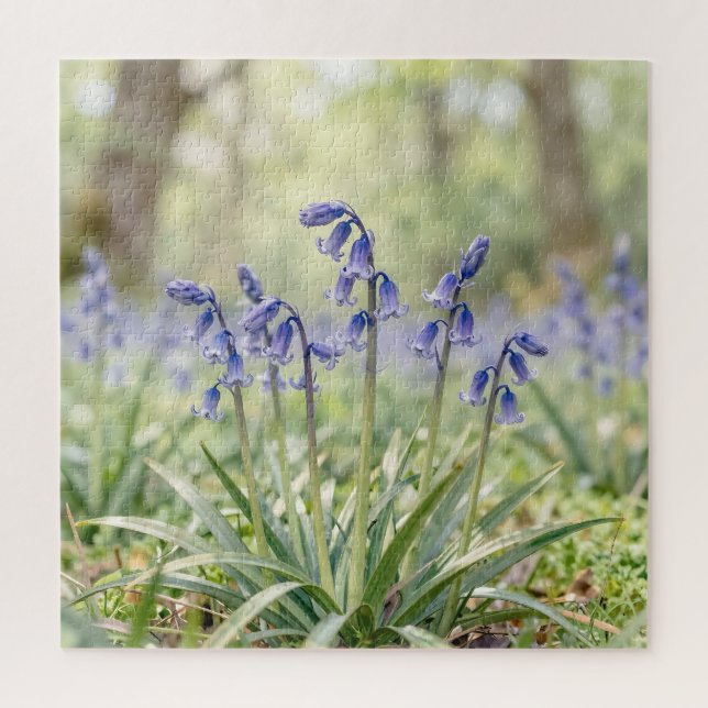 Friedliche lila Blauglockenwaldblüte Puzzle (Vertikal)
