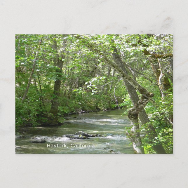 Friedliche Momente... Postkarte (Vorderseite)