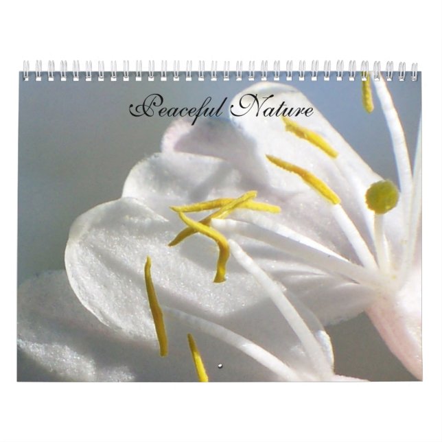 Friedliche Natur Kalender (Titelbild)