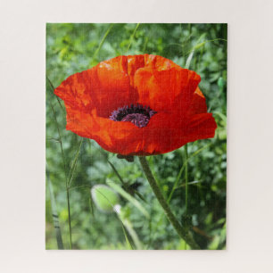 Friedliche Natur-Landschaft-Jigsaw-Puzzle Puzzle