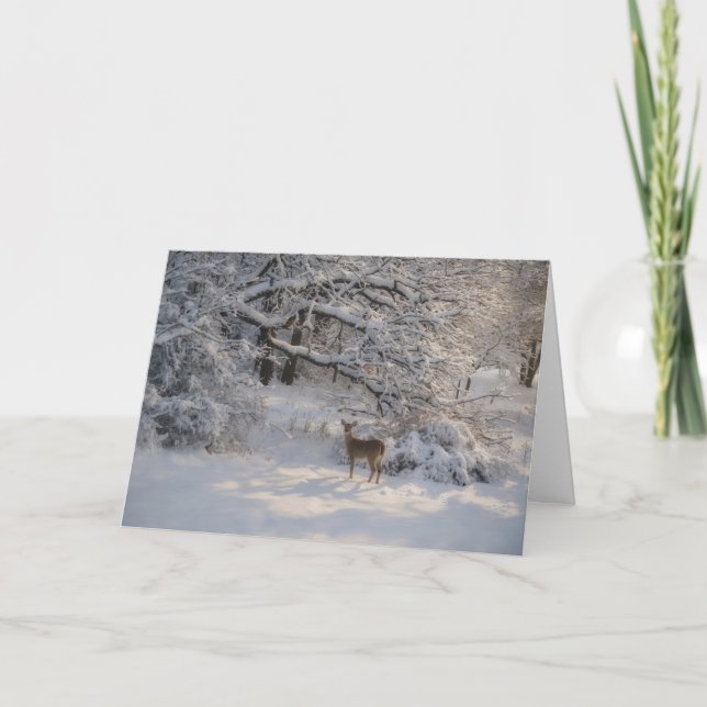 Friedliche Naturszene Hirsch Schnee Weihnachtskart Karte (Vorderseite)