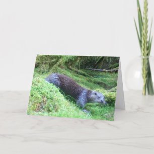 Friedliche Otter Flussufer Wildtiere Natur Szene Karte