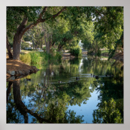 Friedliche Pond Reflections - Der Spiegel der Natu Poster